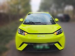 BYD Seagull Glory Edition 305km Vitality Version - ფოტო 2