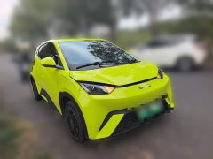 BYD Seagull Glory Edition 305km Vitality Version - ფოტო 3