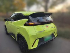 BYD Seagull Glory Edition 305km Vitality Version - ფოტო 4