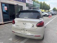 Wuling Binguo 203km Comfort Edition - ფოტო 6