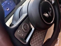 Wuling Binguo 203km Comfort Edition - ფოტო 8