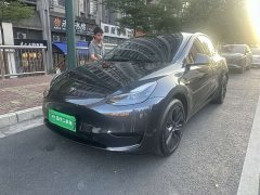Tesla Model Y Rear-Wheel Drive - ფოტო 1