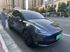Tesla Model Y Rear-Wheel Drive - ფოტო 2