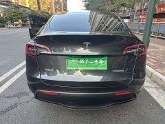 Tesla Model Y Rear-Wheel Drive - ფოტო 9