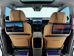 Denza D9 DM-i 970 AWD Premium Edition - ფოტო 16