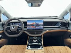 Denza D9 DM-i 970 AWD Premium Edition - ფოტო 8