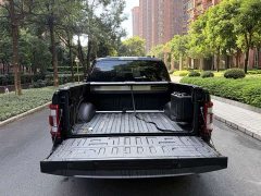 Ford F-150 Raptor 3.5T Raptor Blaze Storm Special Edition - ფოტო 4