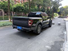 Ford F-150 Raptor 3.5T Raptor Blaze Storm Special Edition - ფოტო 7