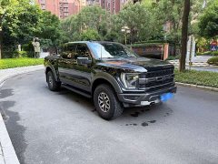 Ford F-150 Raptor 3.5T Raptor Blaze Storm Special Edition - ფოტო 8
