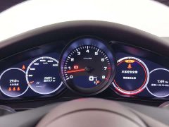 Porsche Panamera 2.9T Platinum Edition - ფოტო 11
