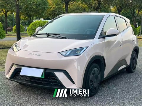 2023 BYD Seagull Vitality Edition - ავტომობილი ჩინეთიდან