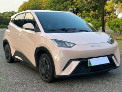 BYD Seagull Vitality Edition - ფოტო 3