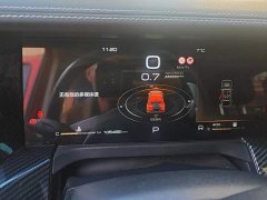Tank 300 Off-Road Edition 2.0T Challenger - ფოტო 14
