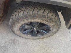 Tank 300 Off-Road Edition 2.0T Challenger - ფოტო 6