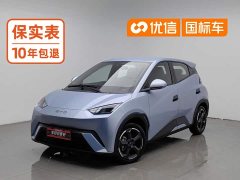 BYD Seagull Glory Edition 305km Freedom Version - ფოტო 1