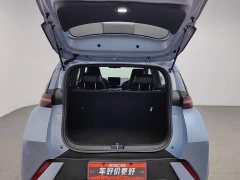 BYD Seagull Glory Edition 305km Freedom Version - ფოტო 16