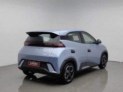 BYD Seagull Glory Edition 305km Freedom Version - ფოტო 2