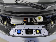 BYD Seagull Glory Edition 305km Freedom Version - ფოტო 6