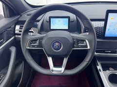 BYD Qin PLUS EV 510KM Travel Edition - ფოტო 11