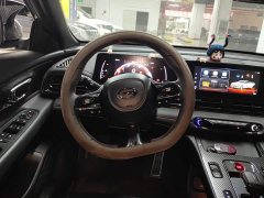 Trumpchi Leopard 270T DCT J15 - ფოტო 15