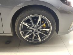 Trumpchi Leopard 270T DCT J15 - ფოტო 6