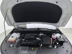 BYD Destroyer 05 Glory Edition DM-i 120KM Luxury - ფოტო 3