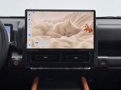 Haval H9 2.0T Gasoline AWD Extreme Edition - ფოტო 5