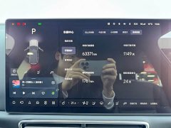 Li Auto L9 Pro - ფოტო 12