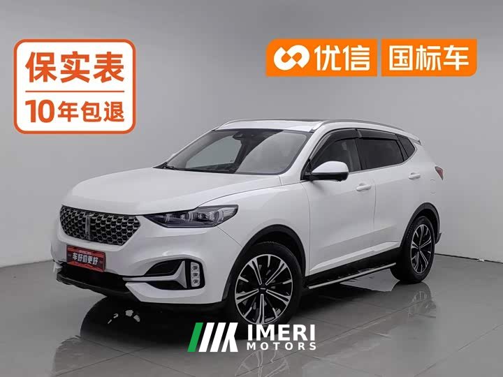 Great Wall WEY VV6 2.0T Two-Wheel Drive Smart Protection