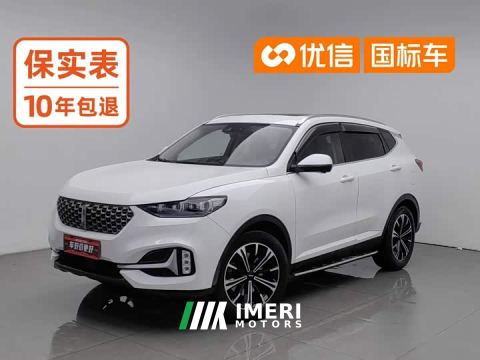 2021 WEY VV6 2.0T Two-Wheel Drive Smart Protection