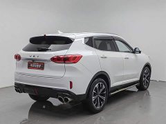 Great Wall WEY VV6 2.0T Two-Wheel Drive Smart Protection - ფოტო 2