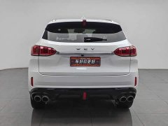 Great Wall WEY VV6 2.0T Two-Wheel Drive Smart Protection - ფოტო 4