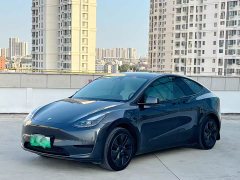 Tesla Model Y Rear-Wheel Drive - ფოტო 1