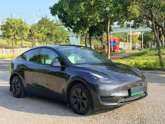 Tesla Model Y Rear-Wheel Drive - ფოტო 11