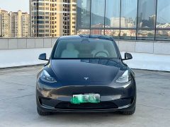 Tesla Model Y Rear-Wheel Drive - ფოტო 2