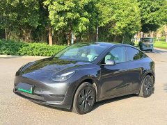 Tesla Model Y Rear-Wheel Drive - ფოტო 9