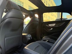Mercedes-Benz AMG GT AMG GT 50 4MATIC China Edition - ფოტო 10