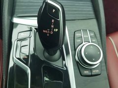 BMW 5 Series Facelift 530Li Premier M Sport Package - ფოტო 13
