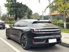 Zeekr 001 YOU Edition 100kWh - ფოტო 9