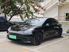 Tesla Model 3 Rear-Wheel Drive - ფოტო 1
