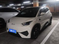 BYD Seagull Smart Drive 405km Flight Edition - ფოტო 1
