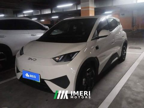 2025 BYD Seagull Smart Drive 405km Flight Edition