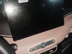BYD Seagull Smart Drive 405km Flight Edition - ფოტო 13