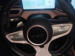 BYD Seagull Smart Drive 405km Flight Edition - ფოტო 15