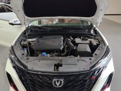 Changan Eado PLUS 1.4T Dual-Clutch High-Performance Edition - ფოტო 10
