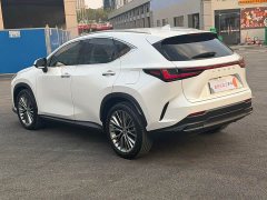 Lexus NX New Energy 400h Comfort Leading Edition - ფოტო 12