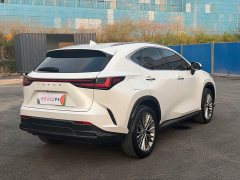 Lexus NX New Energy 400h Comfort Leading Edition - ფოტო 13