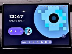 Nio Firefly Carefree Edition - ფოტო 17