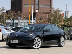 Tesla Model 3 Standard Range RWD Upgrade 3D6 - ფოტო 1