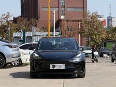Tesla Model 3 Standard Range RWD Upgrade 3D6 - ფოტო 2